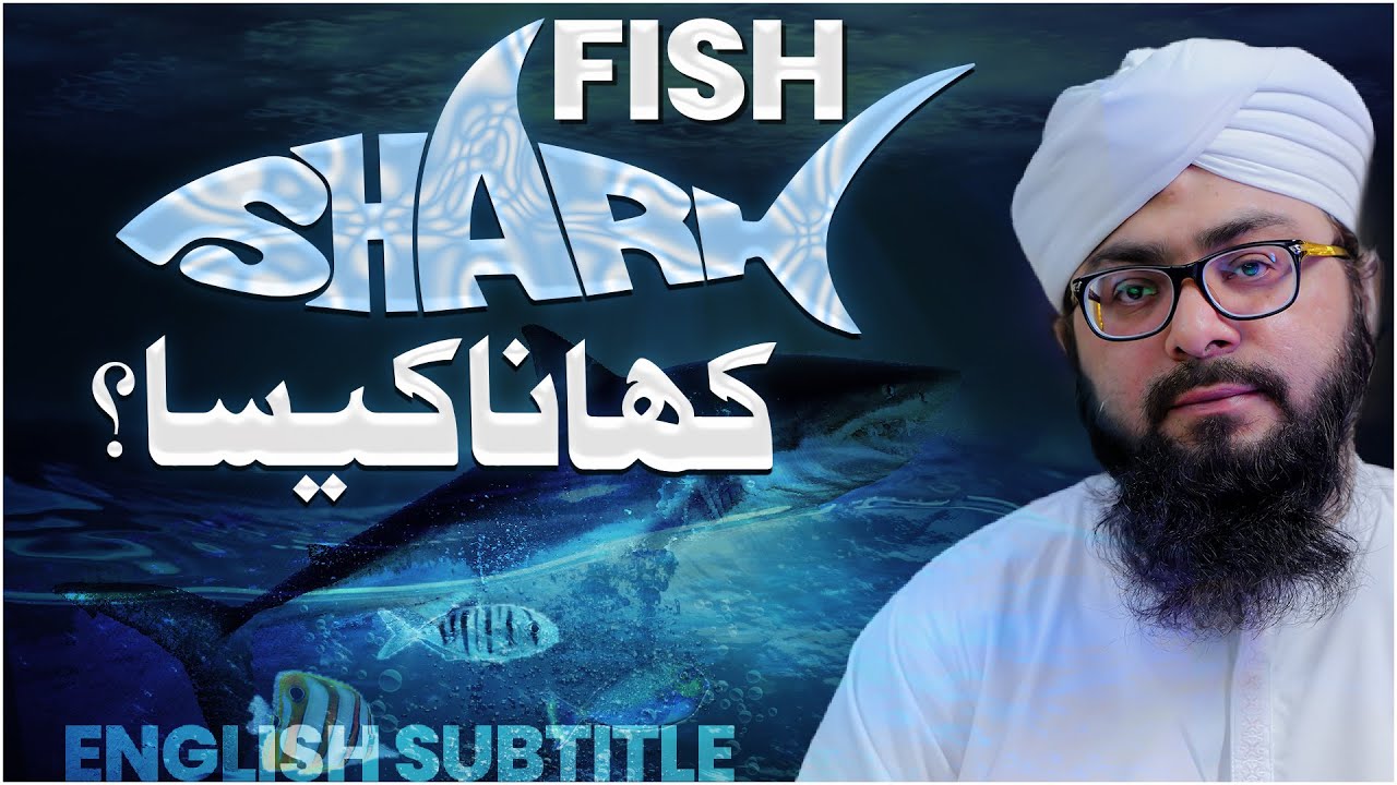 Shark Fish Khana Kaisa?